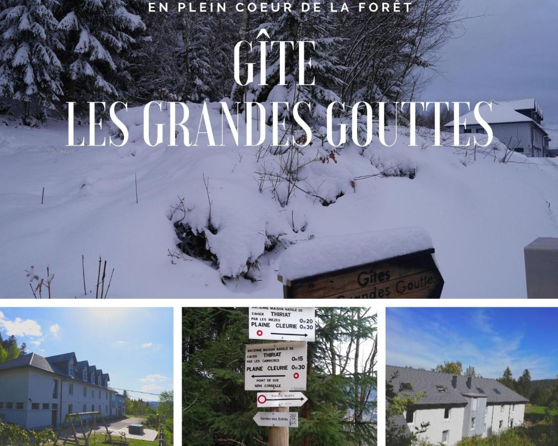 Gites les Grandes Gouttes Le Syndicat Extérieur photo